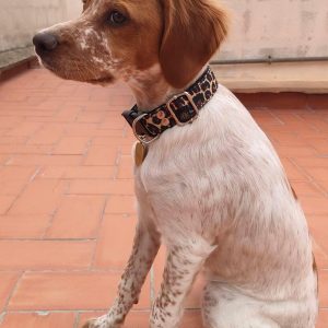 Collar para perro Leopardo marron